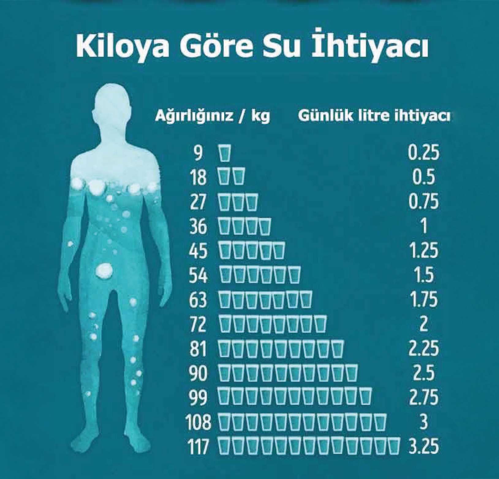Sıcak Havanın Serin Dostu SU